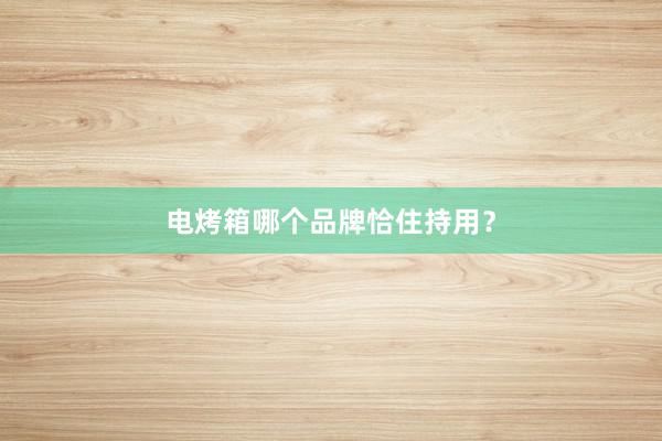 电烤箱哪个品牌恰住持用？