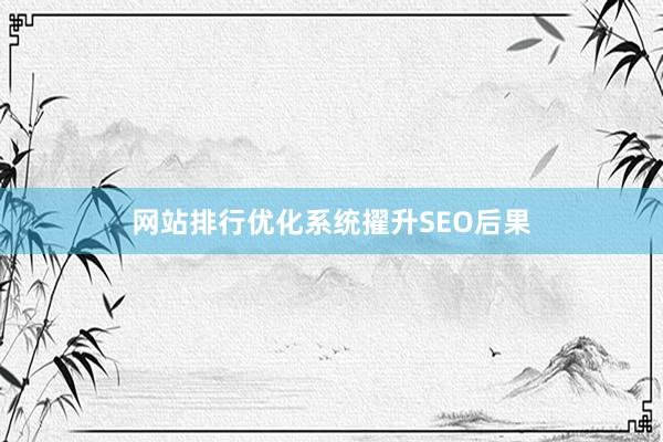 网站排行优化系统擢升SEO后果