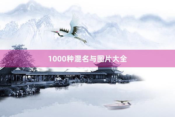1000种混名与图片大全