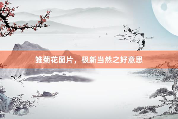 雏菊花图片，极新当然之好意思
