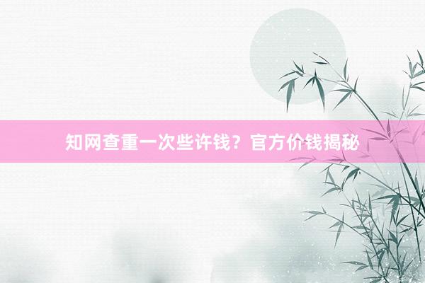 知网查重一次些许钱？官方价钱揭秘